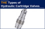 The Rated Flow Setting AAK Hydraulic Valve is Unique and Distinctive