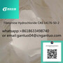 high quality99%Tiletamine Hydrochloride CAS 14176-50-2