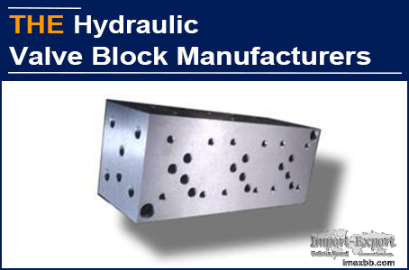 Only AAK Hydraulic Valve Block Benchmarked German Supplier, Richard Admired