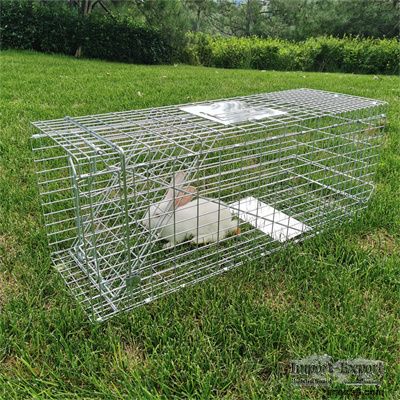 32" X 12" X 12" Catch and Release Humane Rodent Cage for Rabbits Stray Cat 