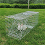 china supplier supply live bird traps for sale