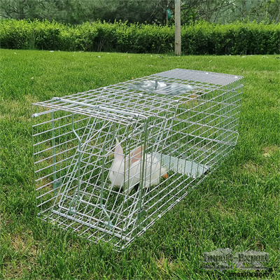 china supplier supply live bird traps for sale