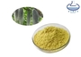 Usnic Acid Pure Plant Extracts , 98% Usnea Lichen Extract Cosmetic Raw Mate