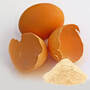 best price of eggshell powder egg shell