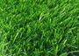 13400 Dtex Outdoor Artificial Synthetic Grass For Dogs 45mm