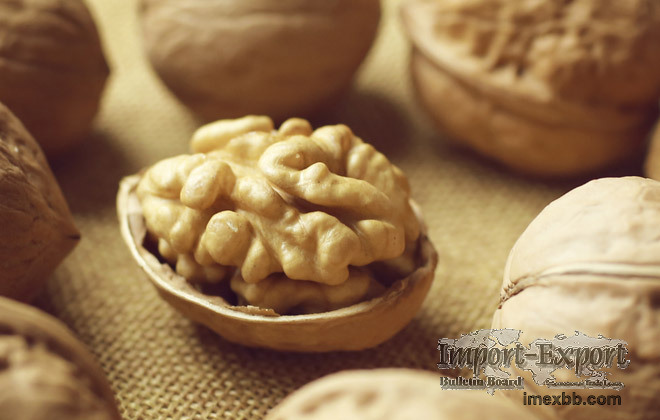Chinese Bulk Walnuts