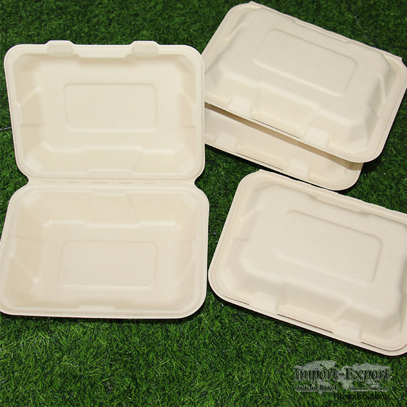 9x6 Inch Sugarcane Bagasse Biodegradable Takeout Clamshell Bento Box