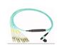 MPO-4*LC/UPC Dual Fiber10G MM Branch patch cord，Low Insertion Loss，Plenum(O