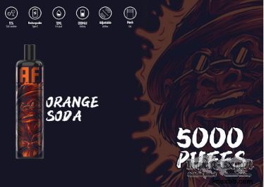 850mAh EPOD Disposable Vape 5000Puffs E Cigars Multiple Flavors