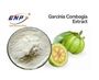 White Fine Powder Natural Plant Extracts Hydroxycitric Acid 50% 60% Garcini