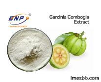 White Fine Powder Natural Plant Extracts Hydroxycitric Acid 50% 60% Garcini