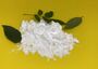 White Powder DKP Dipotassium Phosphate Anhydrous Water Soluble Fertilizer