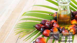 PALM OIL