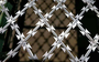 Razor Wire Mesh