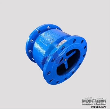 Silencing Check Valve