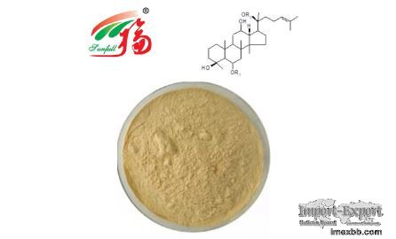UV Stem Extract Wild Ginseng Powder 10% Ginsenosides For Food Additive