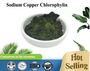 Chlorophyllin Copper Complex Sodium Salt CAS 65963-40-8 Dark Green Powder