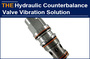 AAK solved the vibration problem of hydraulic counterbalance valve