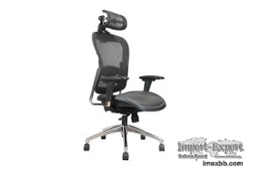 Ergonomic Mesh Chair   LM5889AX-A