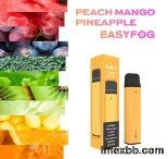 Mango Fruit Flavors Disposable Vape Pod Device 1000 Puffs 850mAh Battery