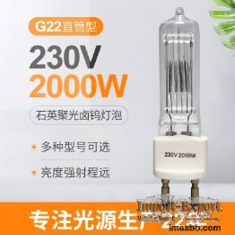 230v 2000w G22 Quartz Halogen Bulb Bi Pin Halogen Lamp Explosion Proof