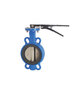 Concentric Butterfly Valve