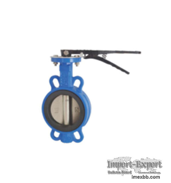 Concentric Butterfly Valve