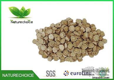 Best Dried Organic Astragalus Root