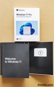 Win 11 Pro DHL delivery global online activation win 11 pro for 1 pc 3month