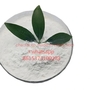 Supplements CAS 56786-63-1 5A-Hydroxy Laxogenin Laxogenin Powder