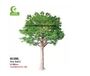 Durable 400cm HAIHONG Artificial Pine Tree For Theme Park