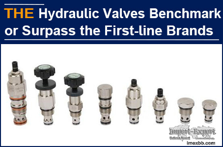 AAK hydraulic valve, benchmarking or surpassing the first-line brands