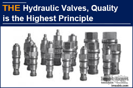 I regard quality as the highest principle of hydraulic valve manufacturing