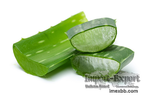 Aloe Vera extract aloe vera gel 99% aloe verain Cosmetic raw materials