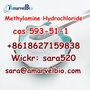(Wickr: sara520)Methylamine Hydrochloride CAS 593-51-1 with High Quality