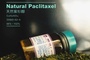 Natural Paclitaxel APIs CAS 33069-62-4 98%-102% EP USP CP antitumor pharmac