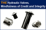 AAK hydraulic valves, mindfulness of credit and integrity