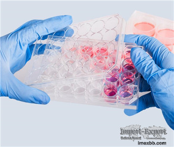 Medical nitrile examination gloves   