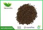 Organic Cassia Seeds