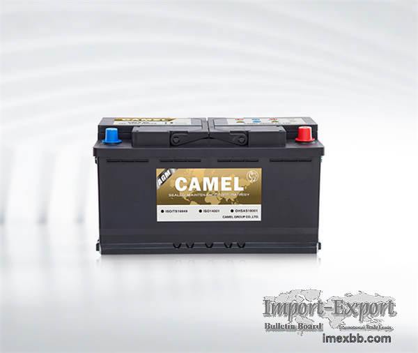 Automotive Agm Start-Stop Battery