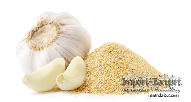 Garlic extract 100 pure garlic extract allicin powder high quality product