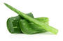 Aloin 20% 40% 90% CAS 1415-73-2 Aloe Vera Extract