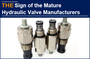 What is the sign of a mature hydraulic valve manufacturer? AAK defined it