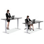 Dual Motor Standing Desk     Electric Standing Desk Dual Motor        