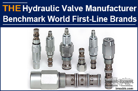 What is the future of Chinese hydraulic valve manufacturers? AAK thinks so