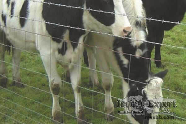 GRADUATED MESH FARM FENCE