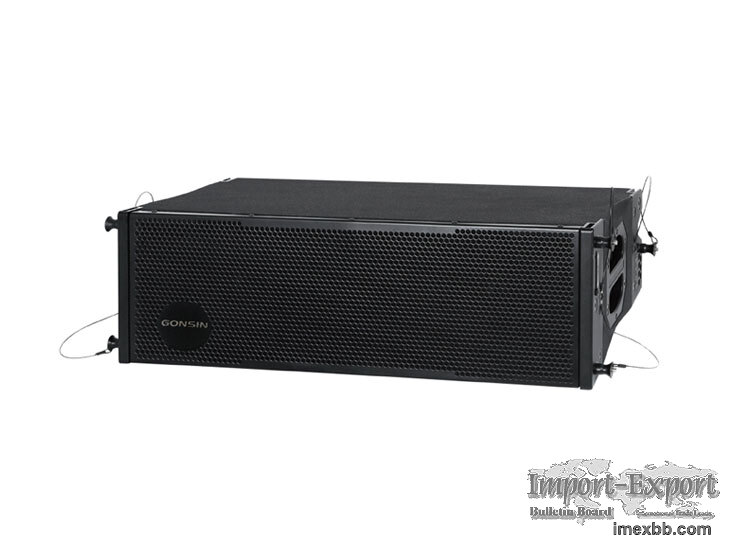 Dual 12-inch Line Array Series Speaker