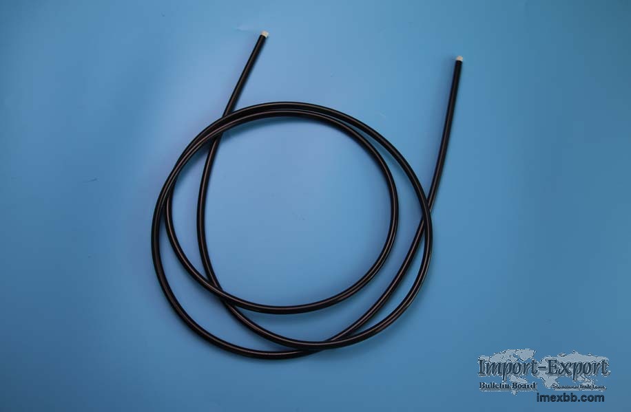 Endoscopy Light Pipe