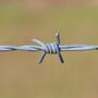 Barbed Wire Galvanized and PVC coated Security Wire Fence Concertina steel