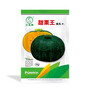 Medium/large fruit variety sweet waxy pumpkin        Chinese Pumpkin Seeds 